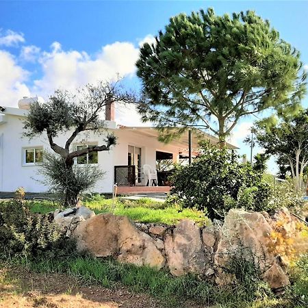 Villa Gavriel - Peyia Villa With Breathtaking Sea View, Peyia Villa With Private Pool, Secluded, Huge Outdoor Space, Mountain Views エクステリア 写真